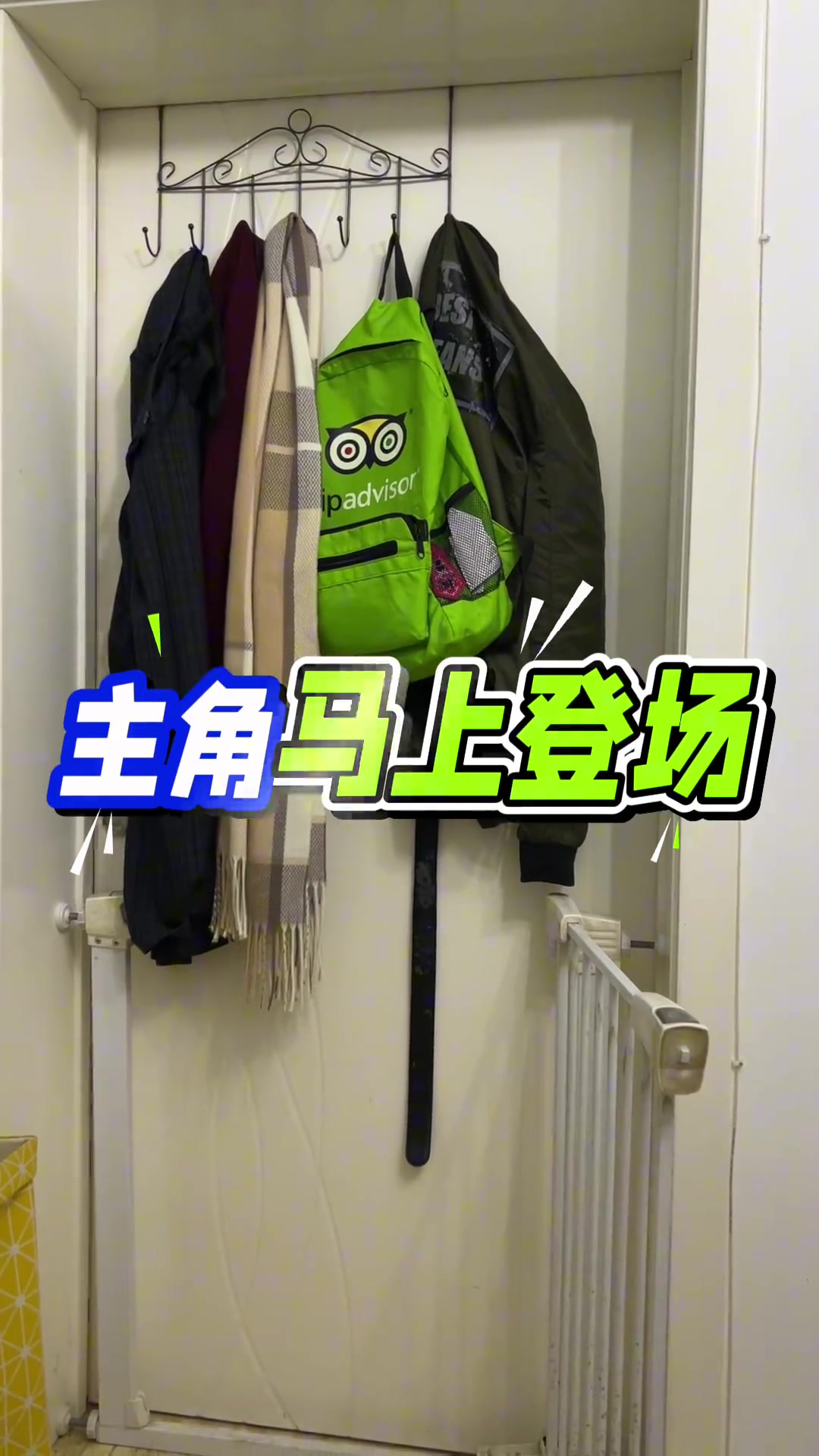 mk体育在线官网太硬核😮70岁老太每天玩四小时魔兽世界：就是为了快乐 调解一下生活